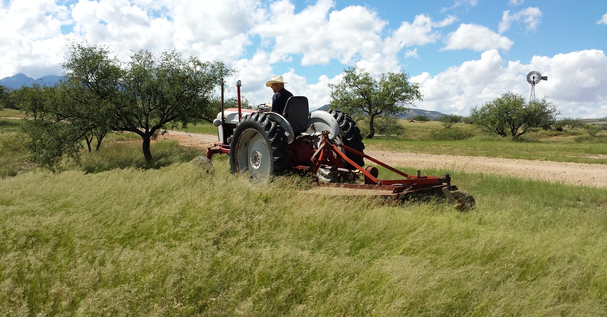  A man in a cowboy hat driving a tractor with a brush hog attached. He's driving through a field with very long grass.