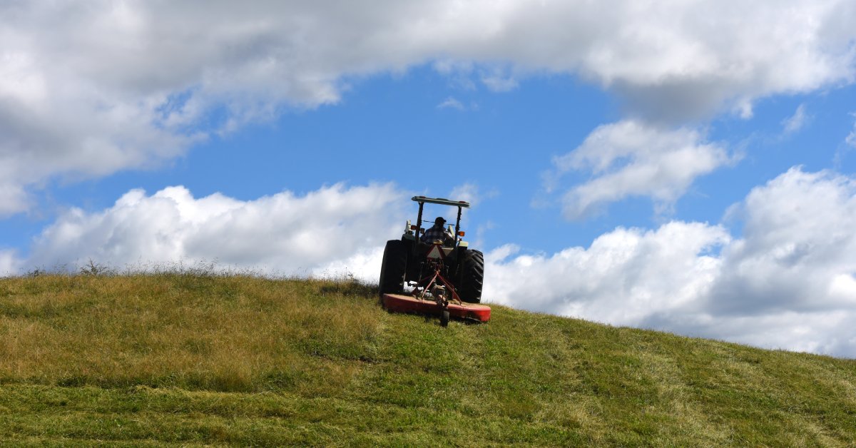 A tractor with a pull-behind mower driving up a steep hill. The grass in this area has mostly all been cut.