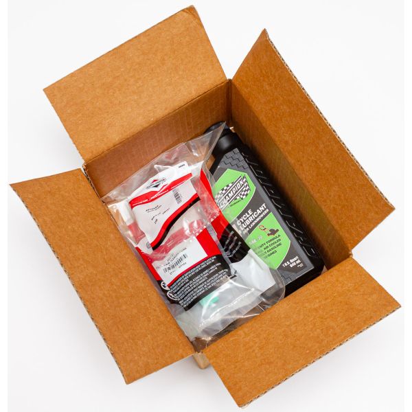 22504 - Briggs & Stratton tune up kit for 6.75 Gross Torque Exi Series ...