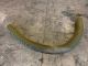19523 - 5" X 8ft Lawn Vac Hose