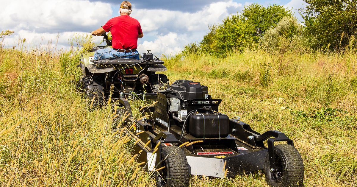 How To Prevent Overgrowth Damage on Your Property