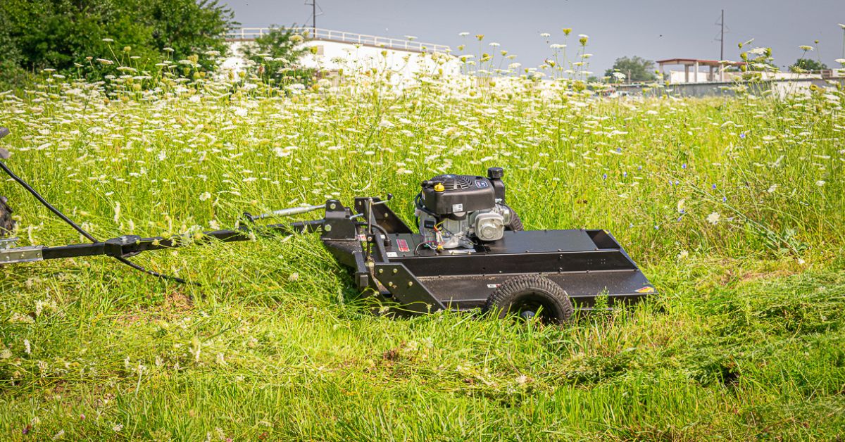 How To Prevent Overgrowth Damage on Your Property